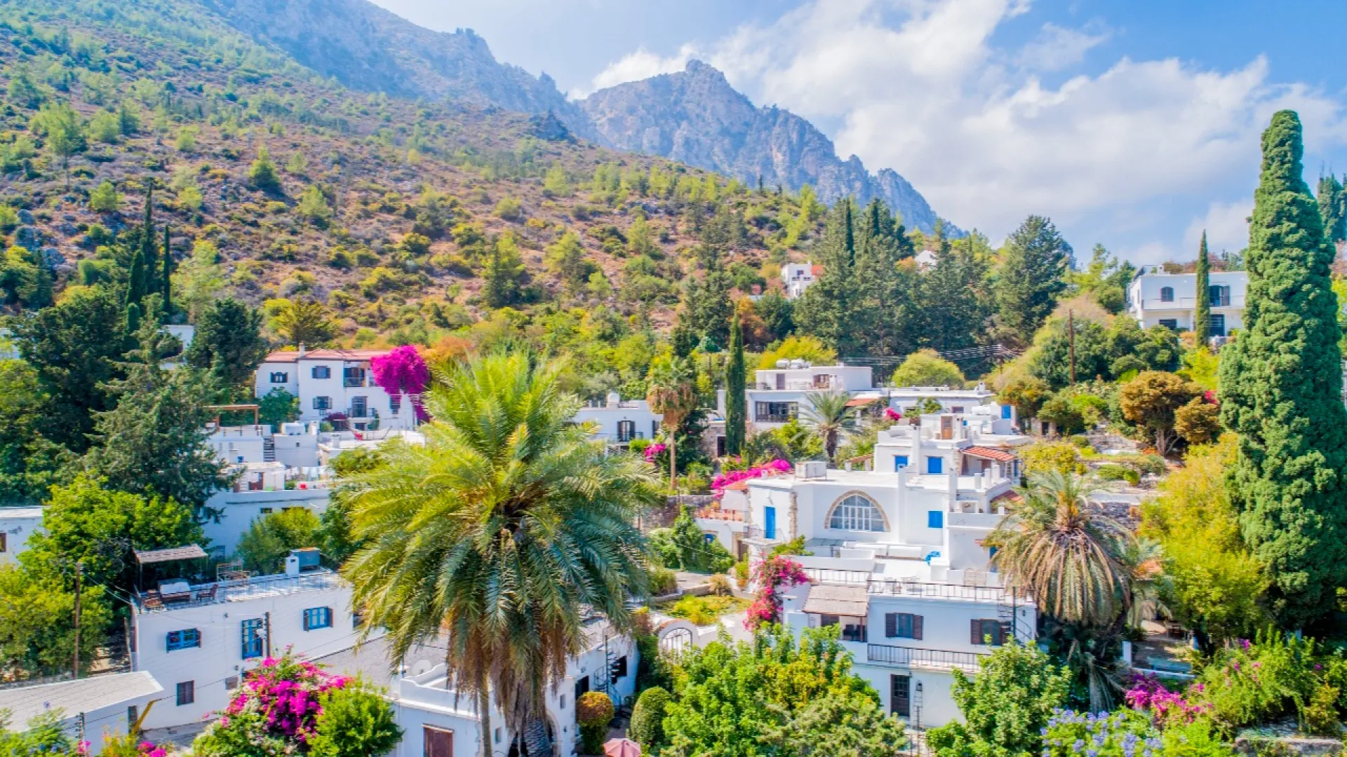 Properties in Cyprus Experiences: The Ultimate Guide to Buying and Investing
