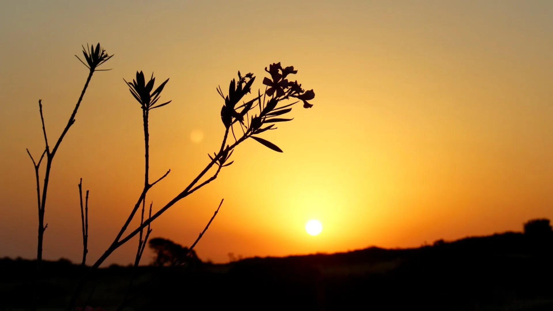 Living in Cyprus: Everything You Need to Know About the Mediterranean Island Dream